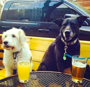 Lottie's National Dog Day