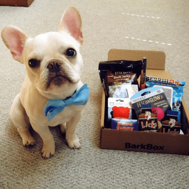 Barkbox