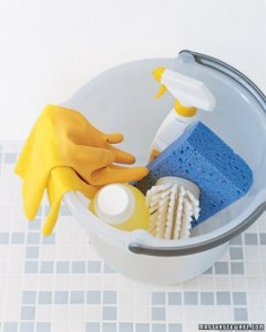 Martha Stewart Cleaning Checklist