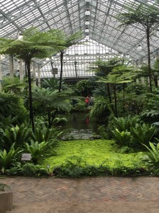 Garfield Park Conservatory - Poor Girl's Guide Chicago